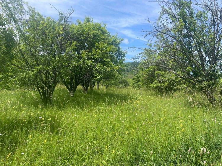 Teren de vanzare, peisaj superb, aproape de autostrada Pitesti-Sibiu - 4