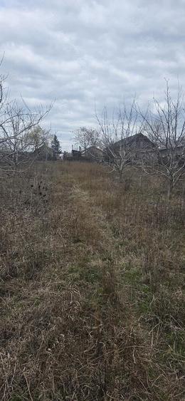 Casa plus teren 2000 mp Rubla, Valea Ramnicului - 7