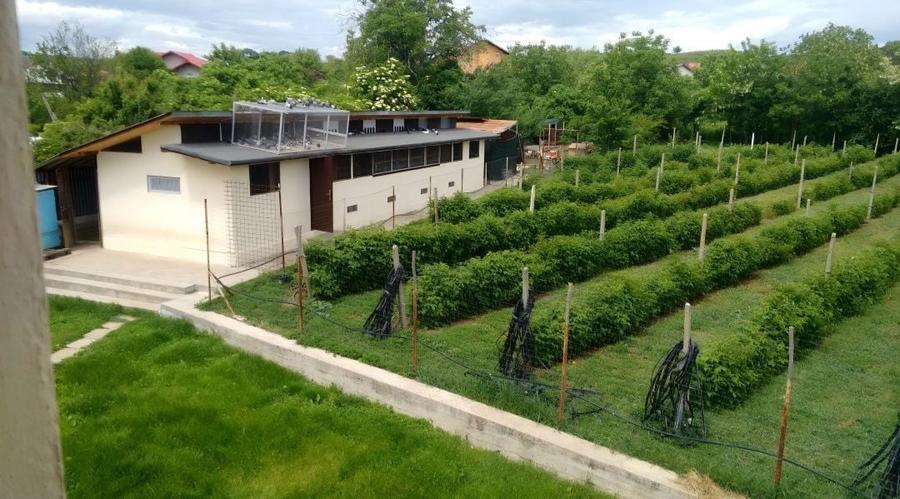 Casa Garaj cu teren de vanzare - 5