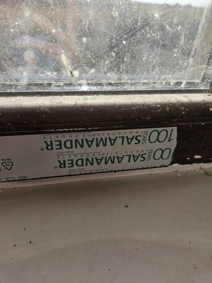 Casa individuala Bucovat P+M+POD - 11