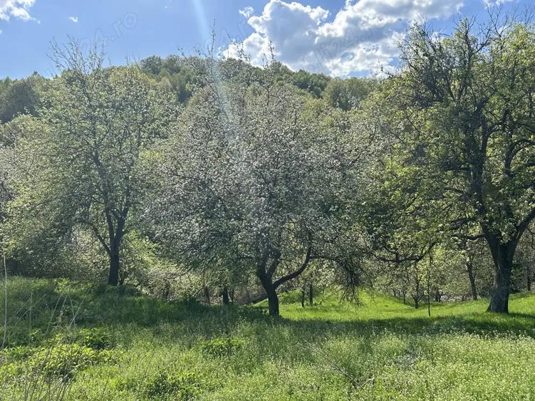 Casa ?i teren de vanzare - 4