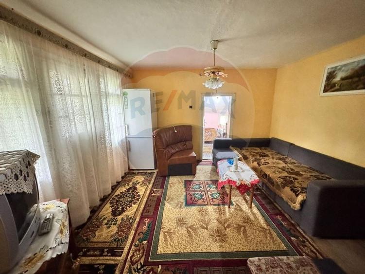 Casă traditionala cu potential de vânzare-HEMEIUS - 6