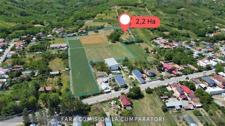 OPORTUNITATE UNICA IN DOMENIUL VITICOL - 3