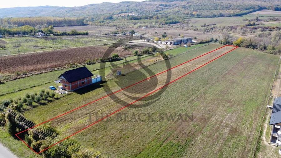 Teren intravilan de vanzare | 3.084mp | Plavia - Urlati | Comision 0% - 2