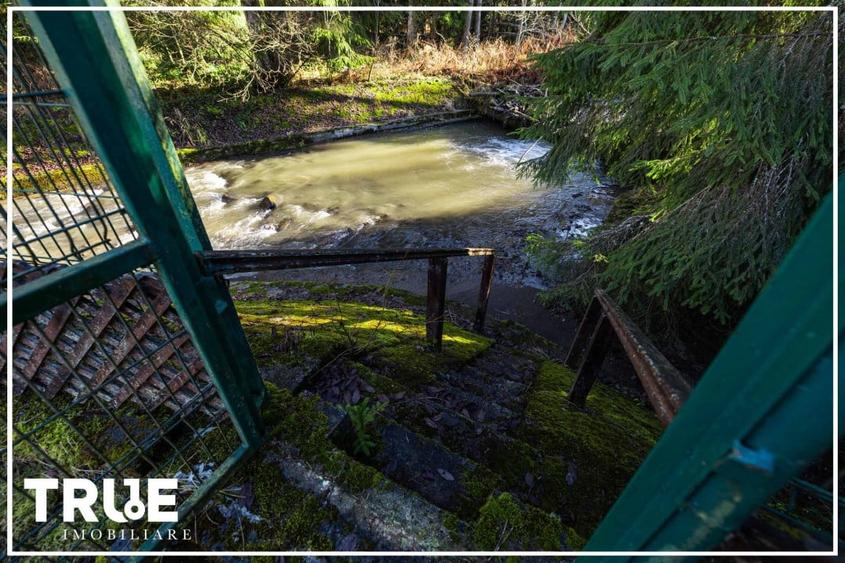 Cabană 210 m² + teren 1400 m² | Sălard, Mureș - 15