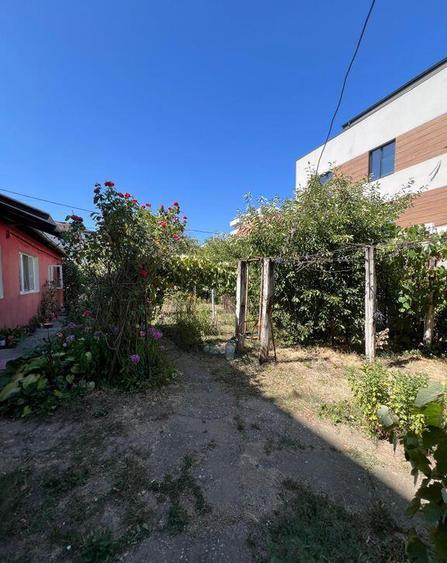 Teren str Renasterii Chitila - 7