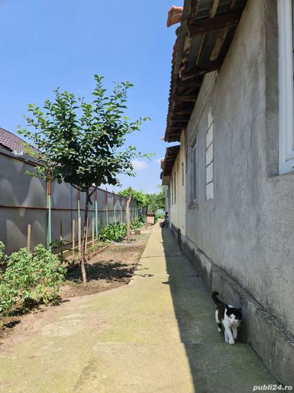 Casa de vanzare, Baile?ti, Dolj!!! - 6