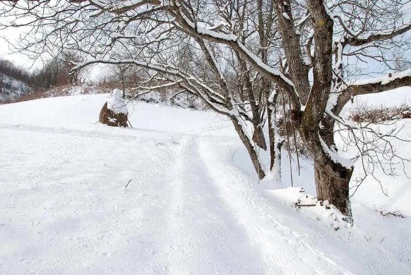 Vand casa ?i teren Vatra Dornei - 4