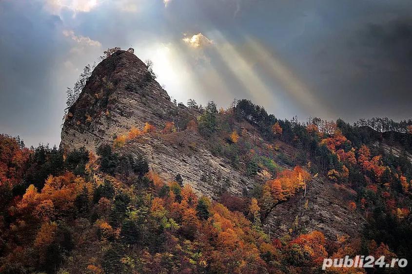 Apartament 3 camere Brezoi - 3