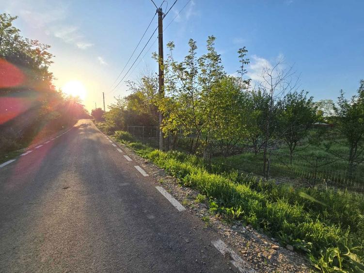 Teren intravilan 1200mp - Valea Argovei, Calarasi - 1
