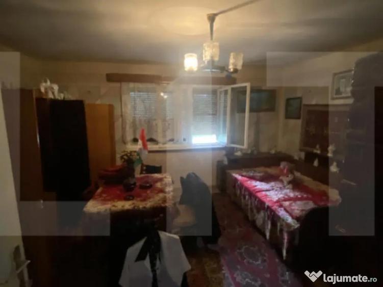 Casa tradi?ionala cu teren generos Belin - 3