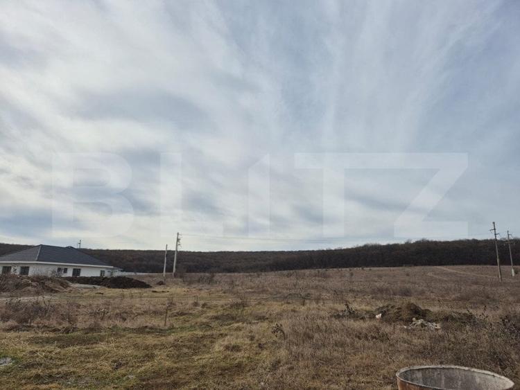 Vila noua de vanzare la intrare in Corunca - 2