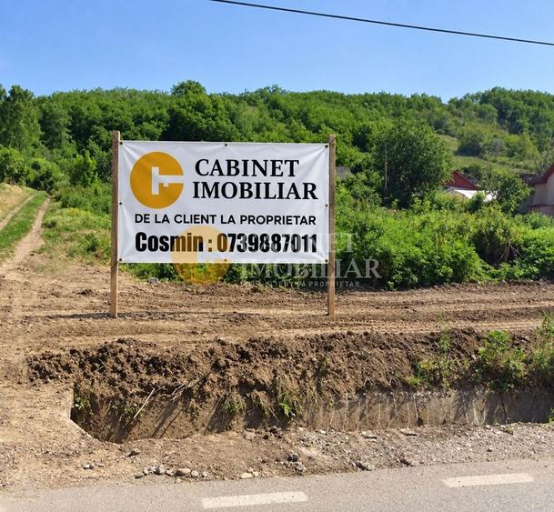 Teren Construcții de 2000 mp, în Răducăneni