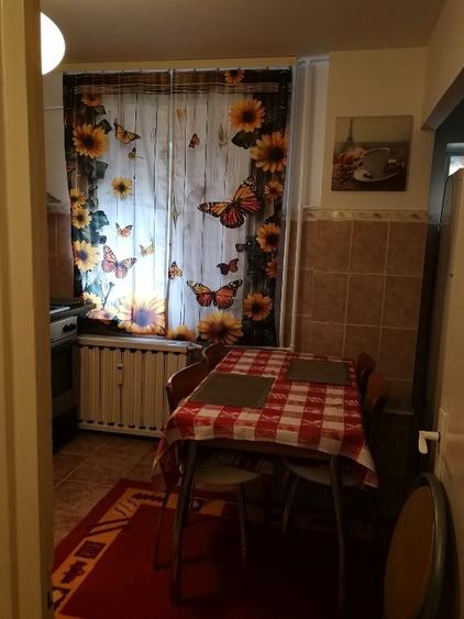 Garsoniera Brazda lui Novac - 1