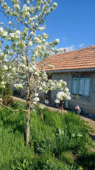 Casa Batraneasca de vanzare - 1