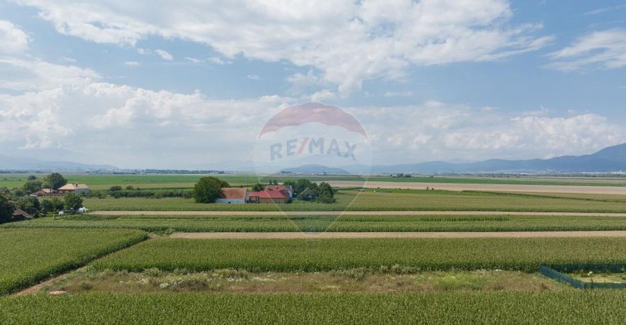 Teren de 1100 mp de vanzare in Stupini - 4