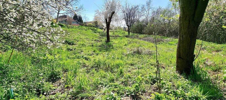 Teren Intravilan Oradea (Saldabagiu de Munte)Zona Hanul Pescarilor - 5