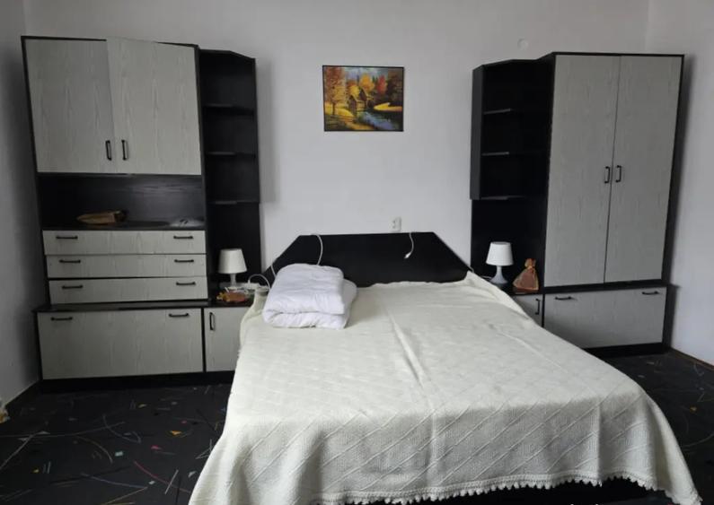 Casa spa?ioasa cu livada ?i vedere spre padure Fil - 3