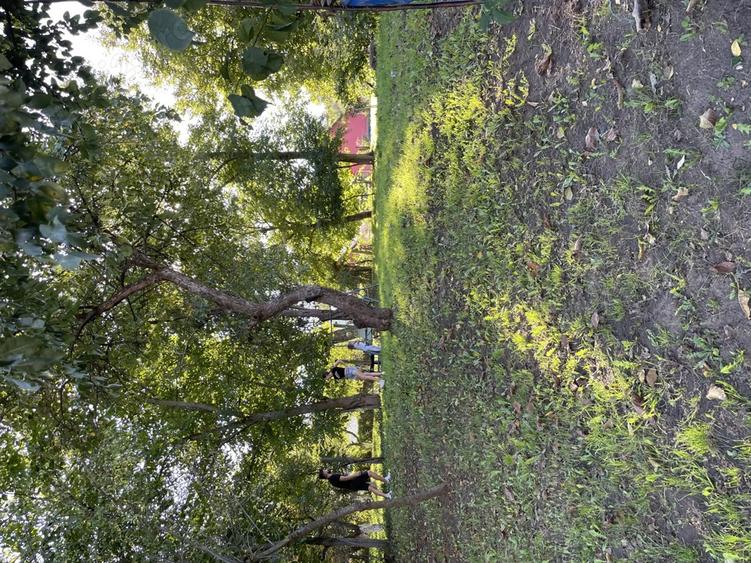 Casa la ?ara 15km de Sibiu comuna Slimnic Intravilan - 10