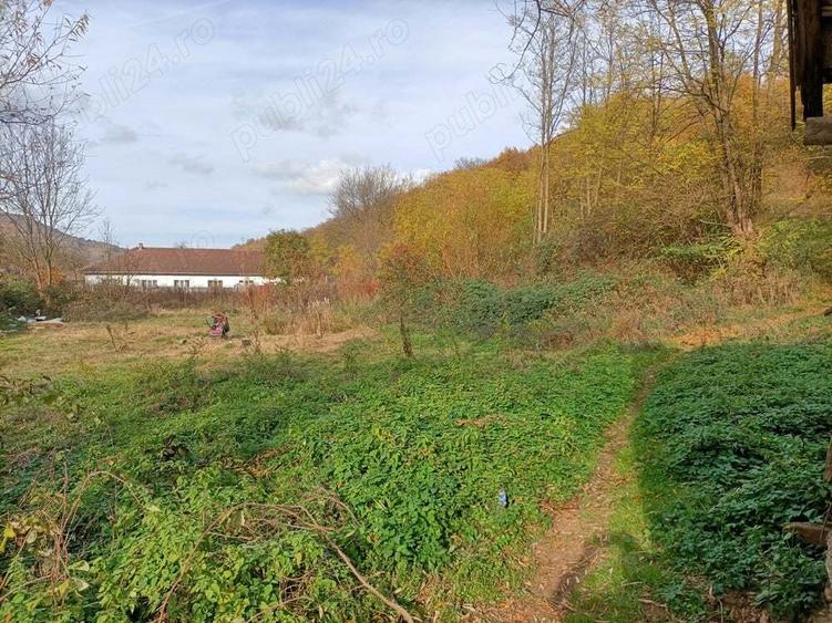 Casa in Dognecea - 3