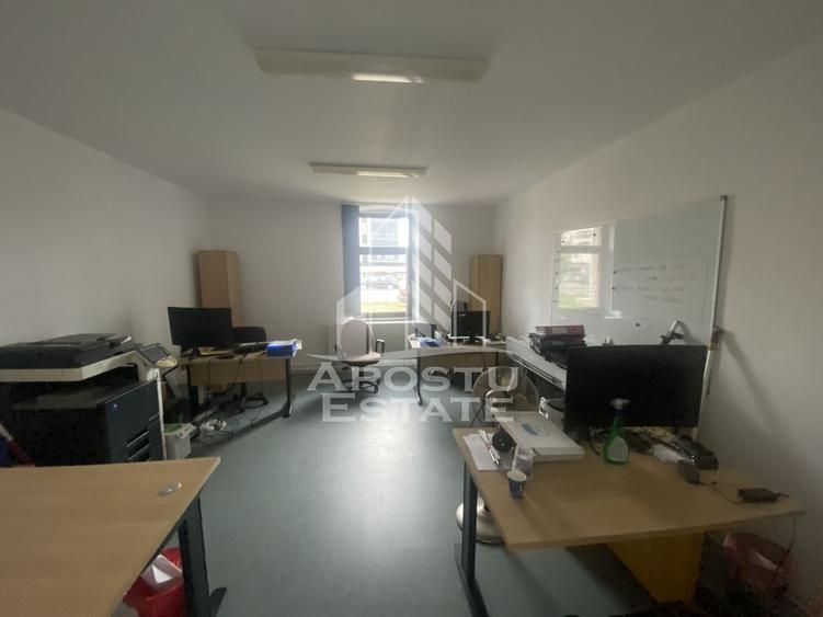 Casa în Dumbrăvița cu teren de 3039 mp și Front Stradal de 40 ml - 1