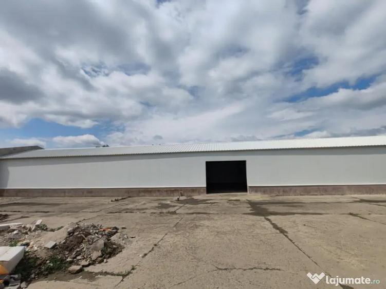 Hala de inchiriat - 320 MP, zona Complex Max, Restaurant Reg - 5