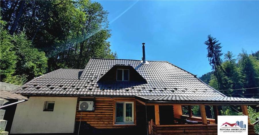 Cabana de Zona Lunca Bradului - 1