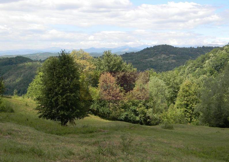 Teren intravilan de vanzare in Telega - 2