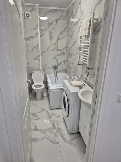 Apartament cu curte si parcare .lunca cetatuii - 2