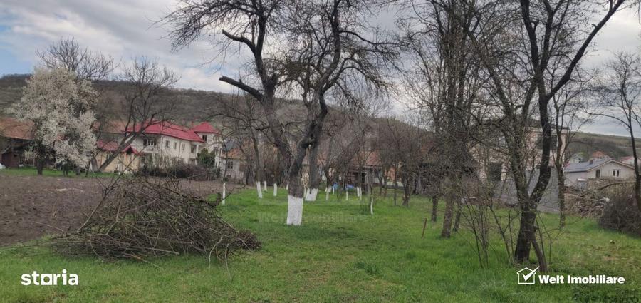 Comision 0% ! Teren Intravilan Central Baciu Toate Utilitatile - 6