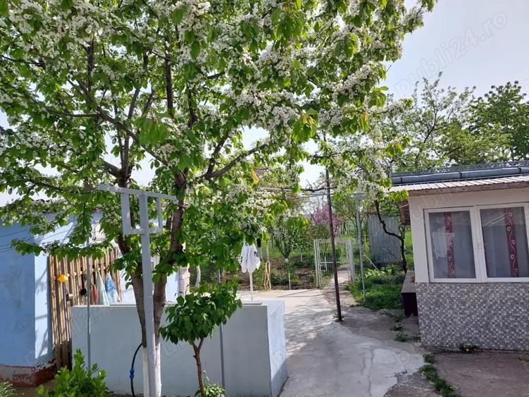 Vand casa sat Dorobanti - 1