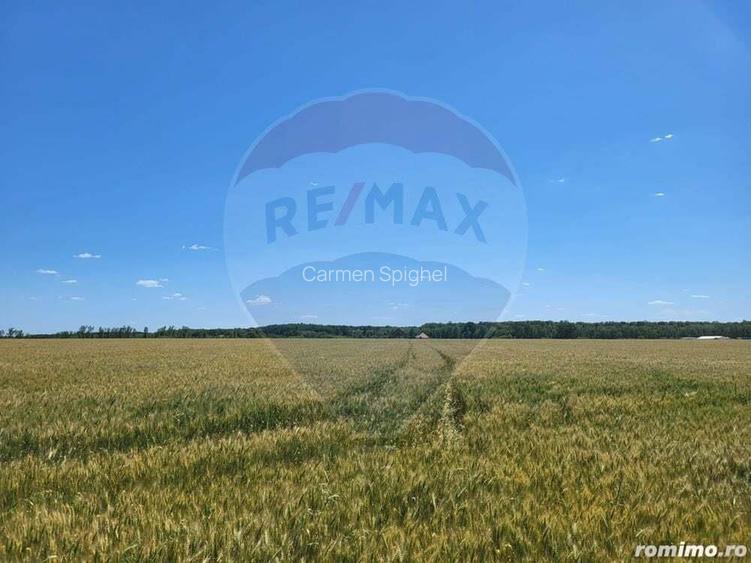 Teren intravilan 36500 mp Ciolpani, f.s 105 ml.