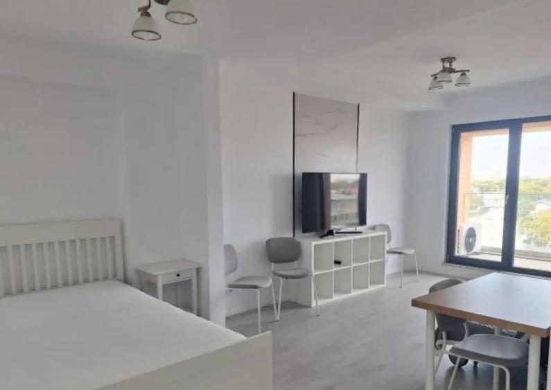 Studio nou -Str. Dr. C. Istrati nr. 53, dec, parcare, Parc Carol Novum - 5