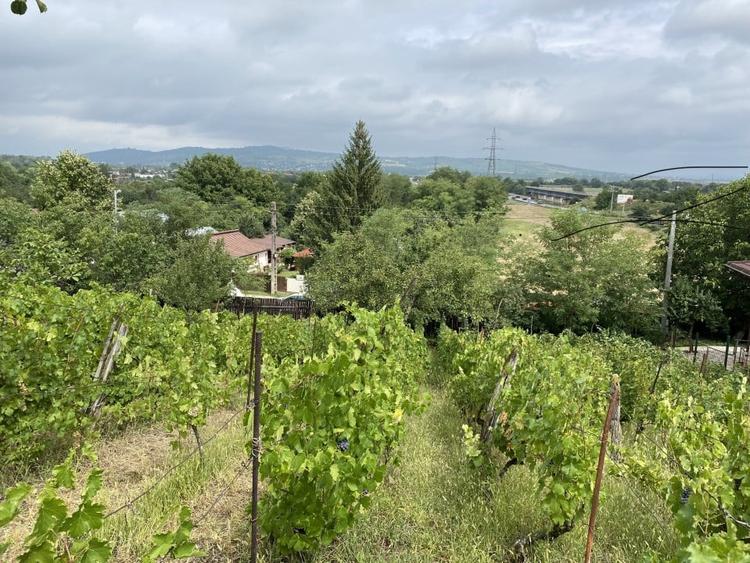 Teren 1000mp(impartit in 2 loturi) deschidere 28m Blejoi,vedere superba - 3