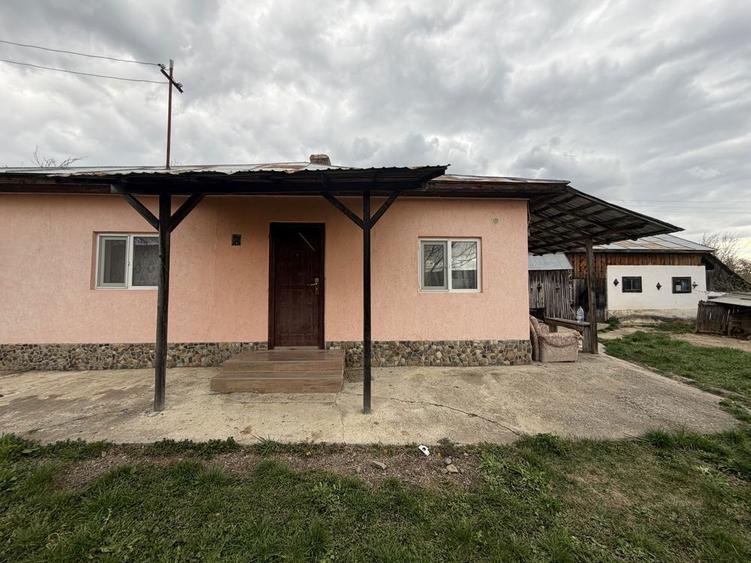 Casa de vanzare + 5400 mp teren intravilan - 1