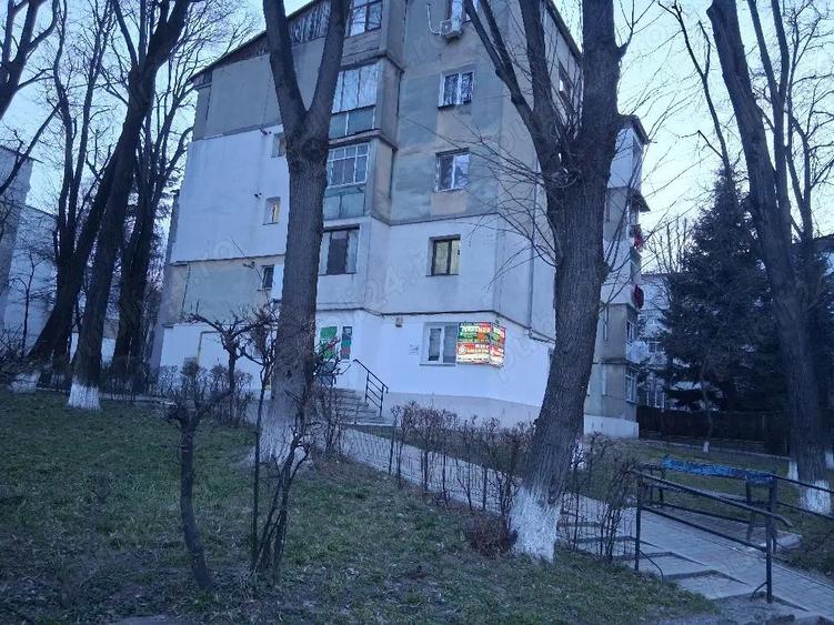 Apartament 3 camere - 5