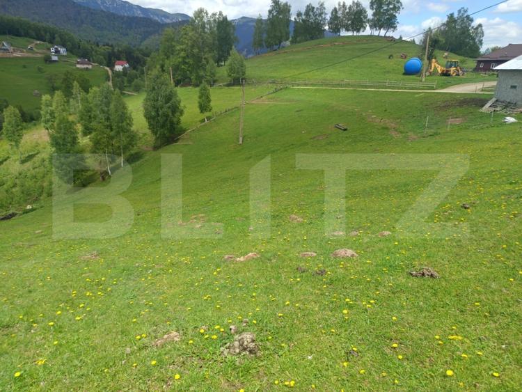Casă individuală cu 2 camere cu Teren 4807 Mp în Peștera