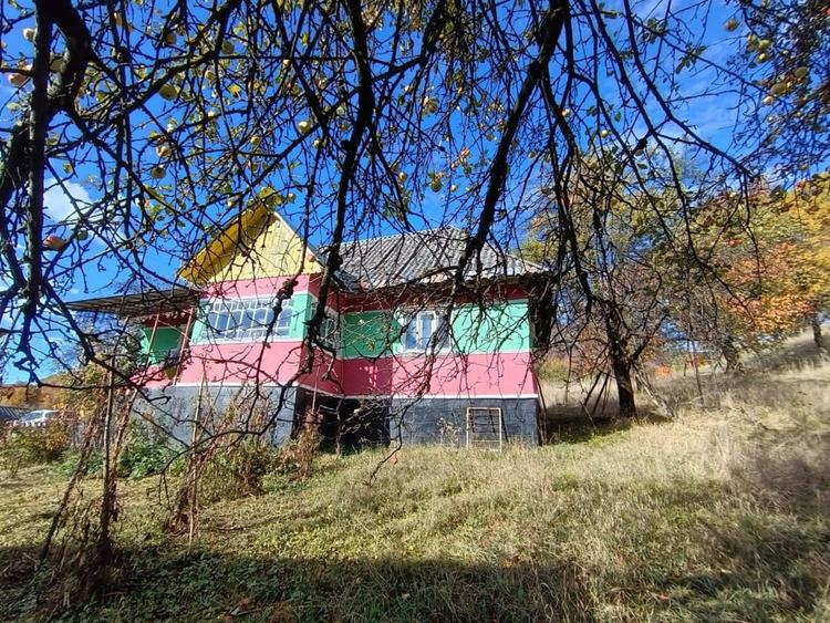 Casă individuală cu 2 camere cu Teren 4000 Mp în Cavnic