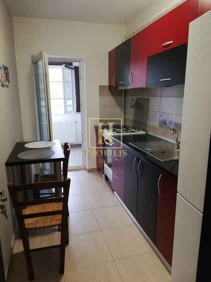 Apartament 1 camera Dec 40 mp. Bucium 300 euro - 5