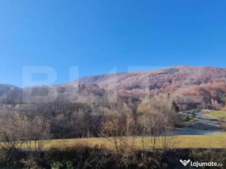 Teren extravilan - Sita Buzaului -6800 mp posibilitate trece - 6