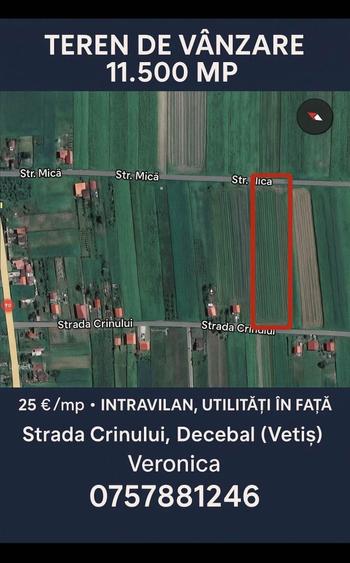 Teren de vanzare - 1