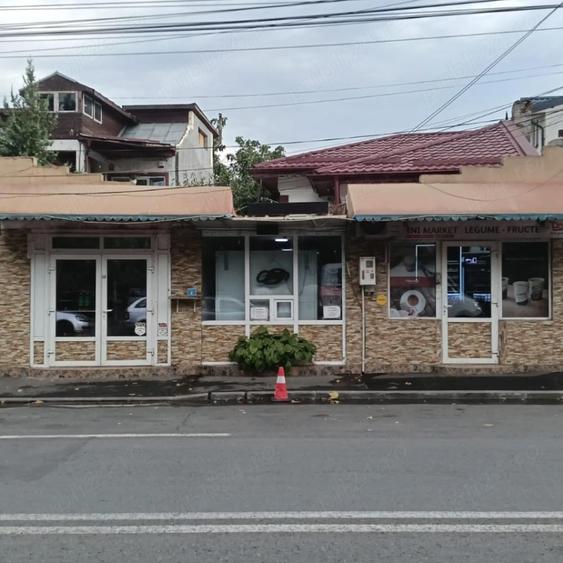 Spatiu de inchiriat zona doamna plaza - 1