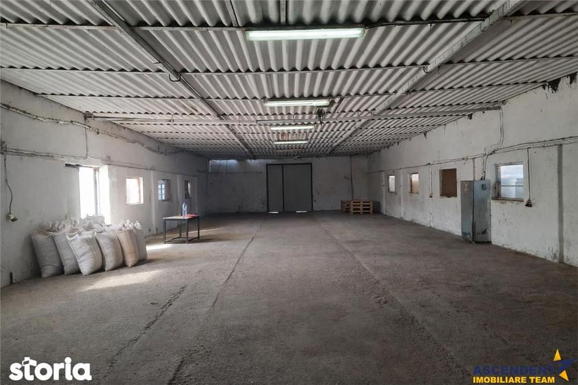 Hala industriala versatila,spatii cazare, platforma betonata,Halchiu,B - 10