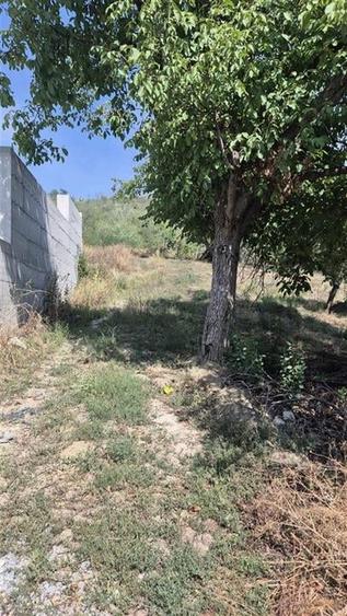 RECO Teren intravilan in Oradea - 9