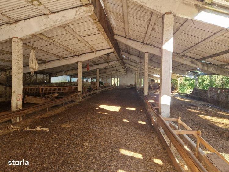 Hala din beton + teren 2.596 mp Jichisu de Jos - 3