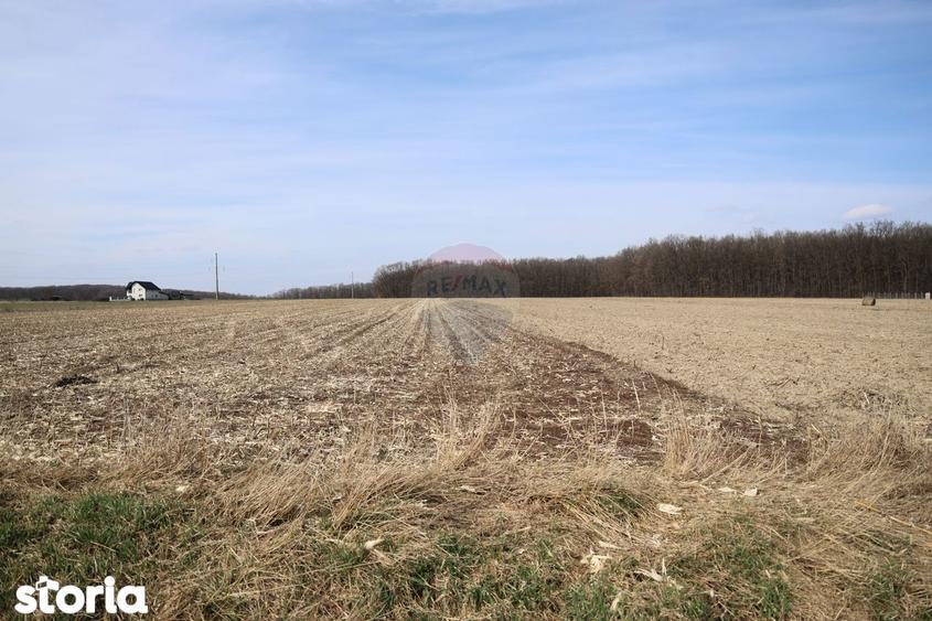 Teren 9,740mp Suceava / Strada Principala - 2