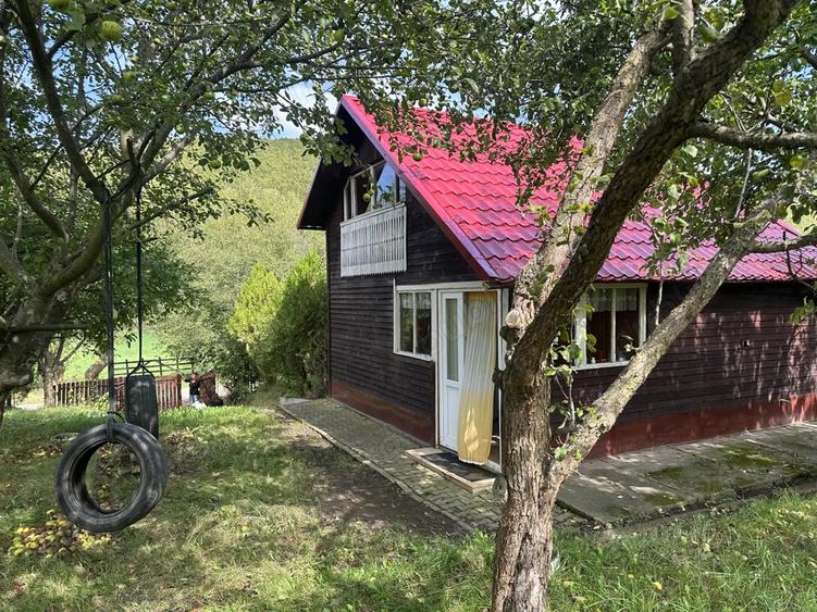 Casa de vacanta- Ozun, 30 km de Brasov - 1