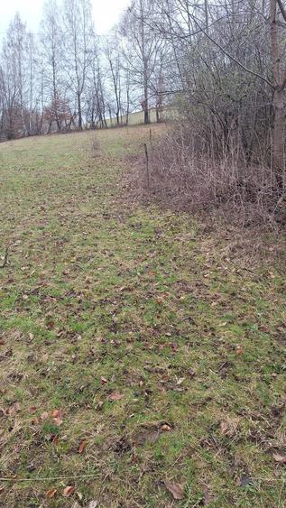 Teren Bran 17 euro pentru platacash!in rate 25euro mp. - 1