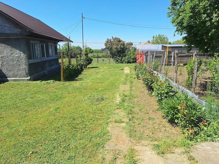 Se vinde proprietate in comuna Cioranii de sus prahova - 6