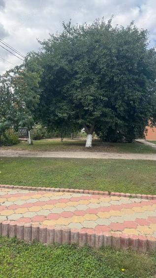 Casa cu pod mansardabil, 20 km de Delta Dunarii - 3